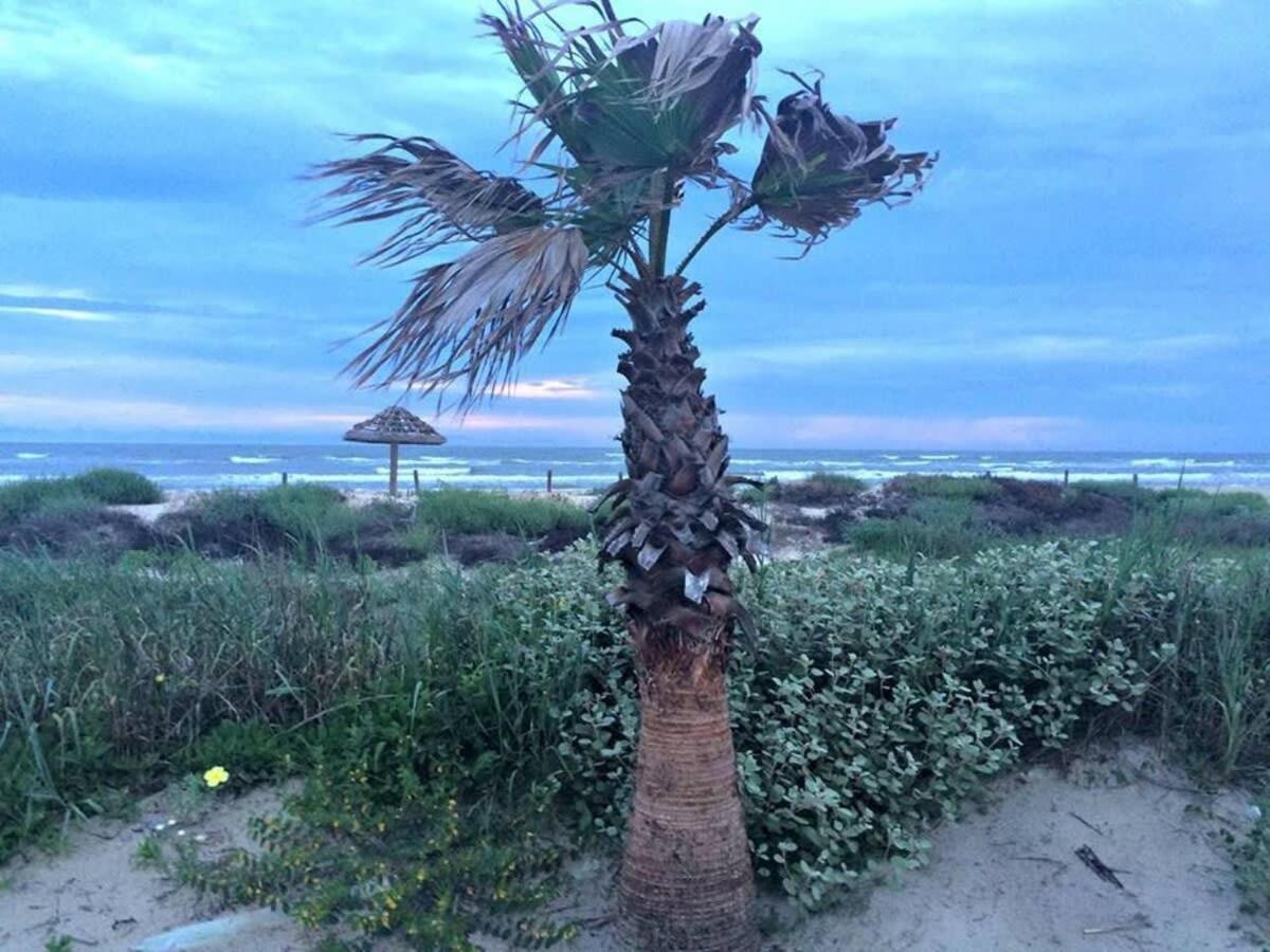 Fun In The Sun! Cozy Beach Pad, Gulf Views And Easy Access To The Sand! Surfside Beach Eksteriør billede